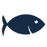 POPULARNA RYBA Fish and Seafood