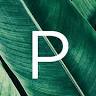 Portfolio A Salon Bellefonte