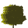 POSADA SIERRA DE IBIO