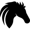 POVRCHPROKONE