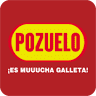 Comercial Pozuelo Panamá, S A
