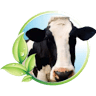 PRACTIAGRO ARMERO-GUAYABAL