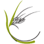 Practical Ecology Pty Ltd