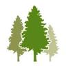 Prairie Pines Christmas Tree Farm