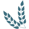 Prairie Winds Family Care