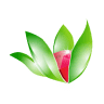 Precious Ayurveda factory