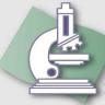 Precision Dental Lab Inc