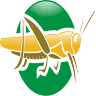 Premium Crickets