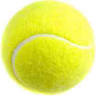 PRESTIGE SPORT