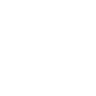 Prestolite Electric Inc