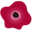 Pretty Poppy