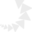 Prilabsa - Honduras