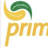 Prima Elements Holistic Wellness Center