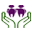 Primal Care Services