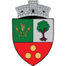 City Council Baneasa