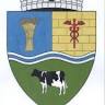Primăria Berceni
