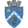 Community Police Buftea