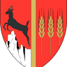 Primăria Ceahlău