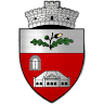 Cristian's town hall