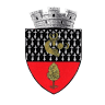 Dolhasca