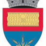 Consiliul Local Gherăseni