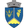 PRIMARIA GHIDICI