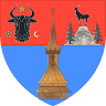 Primăria Moisei-Maramureș