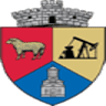 Primăria Comunei Moşoaia