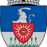 Primăria Peciu Nou