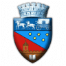 Poliția Locală