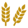 Prime Agriculture s.r.l.