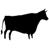 Prime Steakhouse