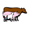 Priors Hall Farm