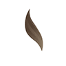 Privilege Services, L'agence No1 Depuis 2012 In Material Of Staff Haut-De-Gamme