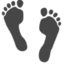 Pro Balance Custom Orthotics