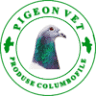 PIGEON VET