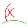 Professional Consulting 2 S.R.L.