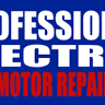 Professional Electric Motor