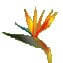 Pro Line Landscape Gardening