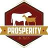 Prosperity Acres
