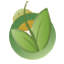 Protenergy Natural Foods Inc