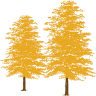 Professional Tree & Turf Equipment