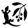 Provenance Indigenous Plants