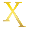 Pro X Construction LLC