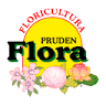 Floricultura Pruden Flora | Cestas de Café | Presentes