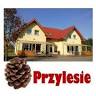 PRZYLESIE Grzegorz Magdalan