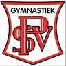 Gymnastiekvereniging P.S.V.