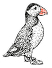 Puffin's Kitchen
