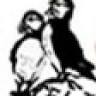 Puffins in the City