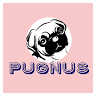 ペットのための酵素風呂 PUGNUS